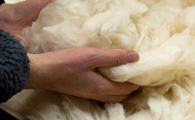 Йоркширский твид отбор шерсти