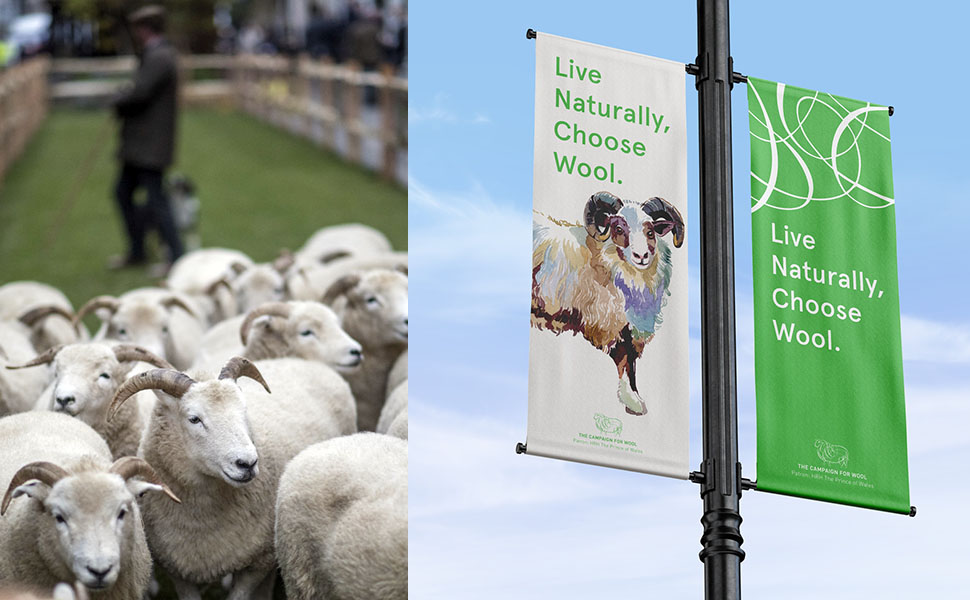 Шетландская шерсть The Campaign for Wool