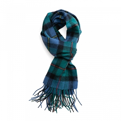 2Картинка Шарф Clans of Scotland Campbell Clan Ancient