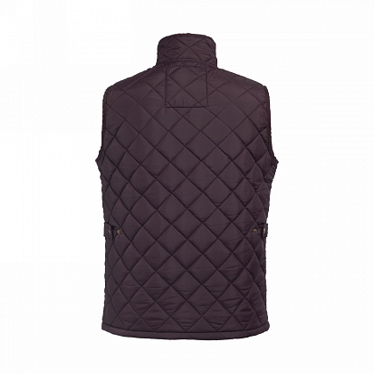 3Картинка Жилет Vedoneire 3024 Purple